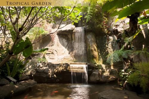 Outdoor Pictures 21