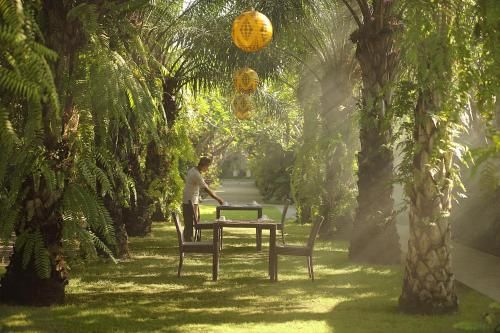 Outdoor Pictures 21