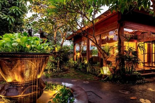 Outdoor Pictures 22