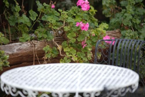 Outdoor Pictures 23