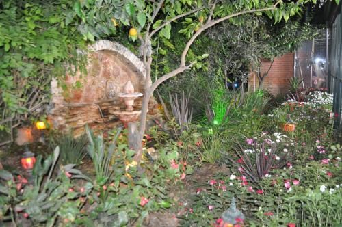 Outdoor Pictures 21