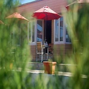 Outdoor Pictures 24