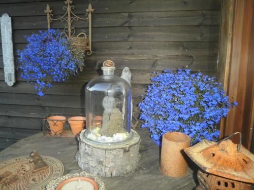 Outdoor Pictures 14