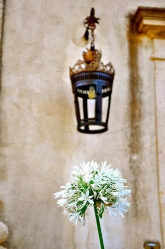 Outdoor Pictures 15