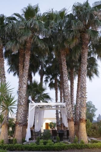 Outdoor Pictures 24