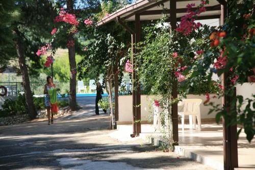 Outdoor Pictures 15