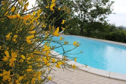 Outdoor Pictures 21