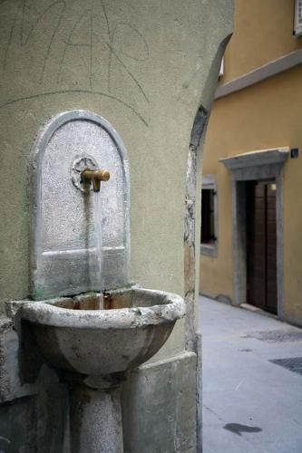 Outdoor Pictures 5