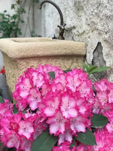 Outdoor Pictures 7