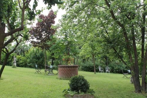 Outdoor Pictures 19