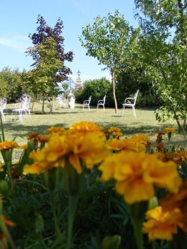 Outdoor Pictures 21