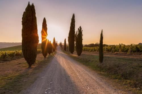 Outdoor Pictures 22