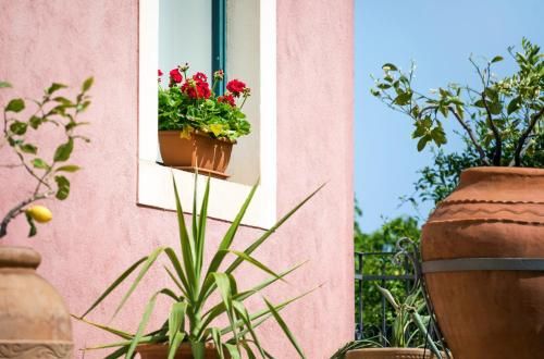 Outdoor Pictures 21