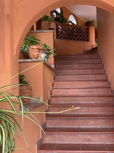 Outdoor Pictures 15