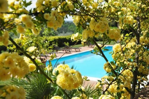 Outdoor Pictures 21