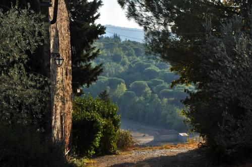 Outdoor Pictures 22