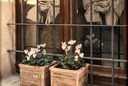 Outdoor Pictures 15