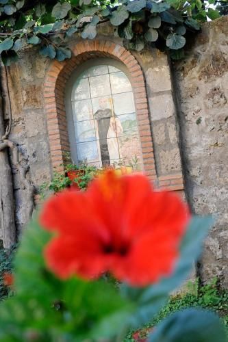 Outdoor Pictures 24