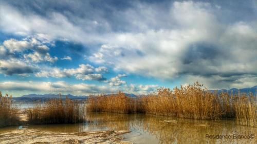 Outdoor Pictures 21