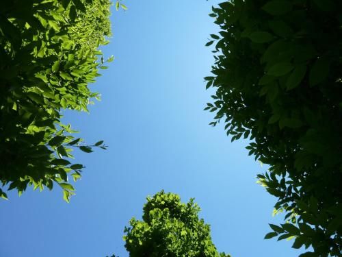 Outdoor Pictures 20