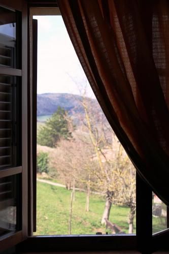 Outdoor Pictures 23