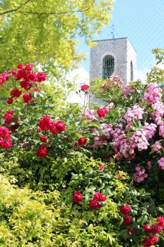 Outdoor Pictures 24