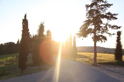 Outdoor Pictures 22