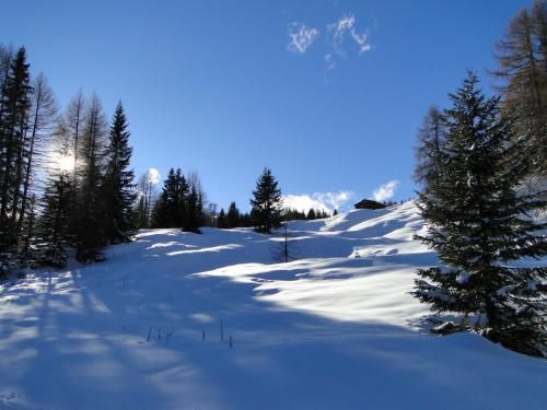Outdoor Pictures 24
