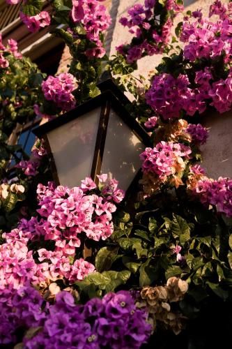 Outdoor Pictures 15