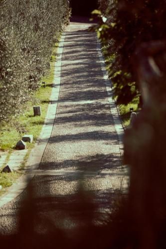 Outdoor Pictures 17