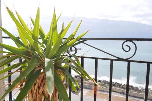 B&B Fronte Del Mare