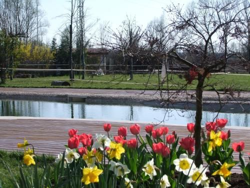 Outdoor Pictures 21