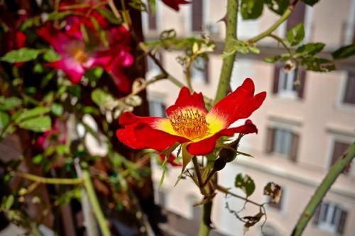 Outdoor Pictures 16