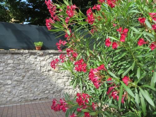 Outdoor Pictures 20