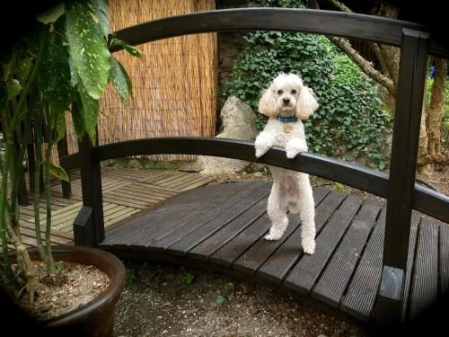 Outdoor Pictures 22