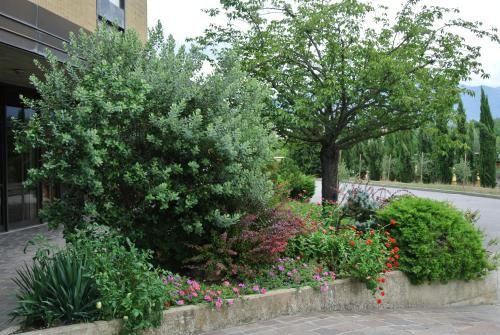 Outdoor Pictures 20
