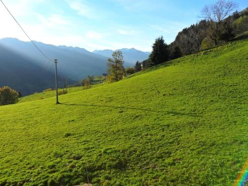 Outdoor Pictures 15