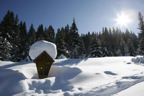 Outdoor Pictures 23