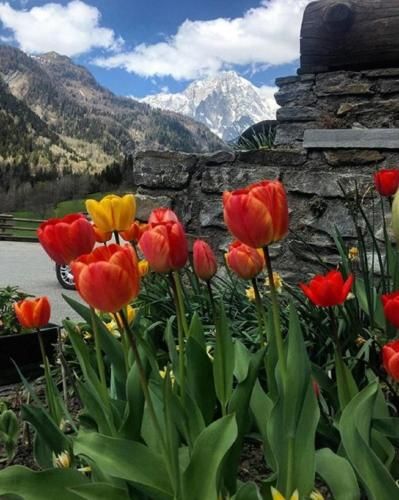 Outdoor Pictures 21