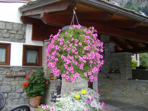 Outdoor Pictures 24