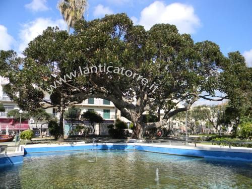 B&B L'Antica Torre