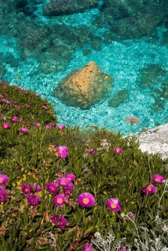 Outdoor Pictures 20