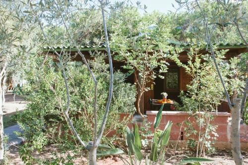 Villaggio Camping Torre Del Porticciolo