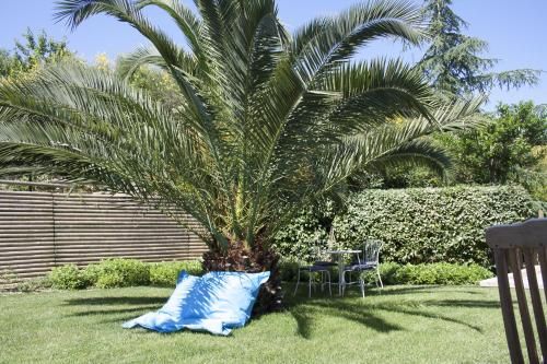 Outdoor Pictures 22
