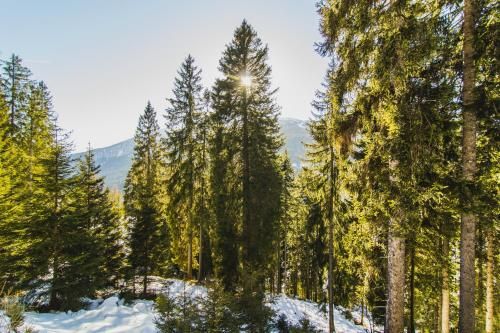 Outdoor Pictures 20