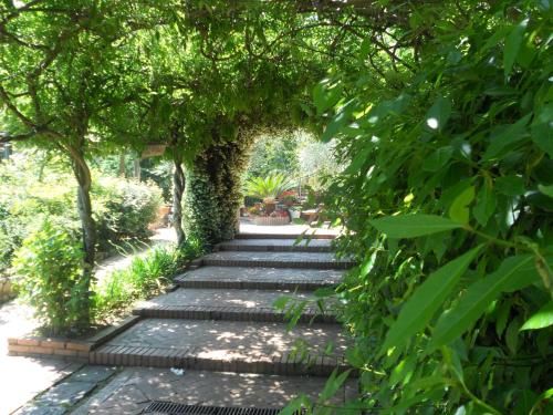 Outdoor Pictures 21