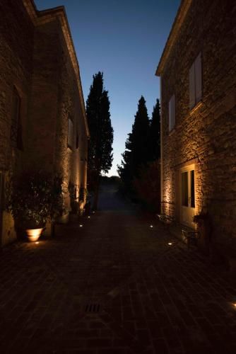 Outdoor Pictures 24
