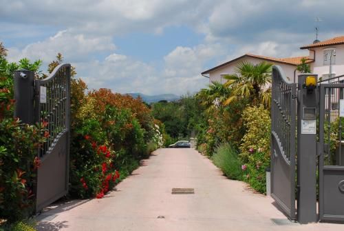 Outdoor Pictures 24