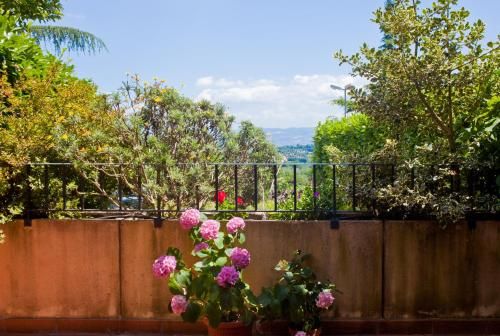 Outdoor Pictures 22
