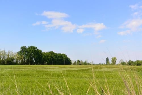 Outdoor Pictures 21